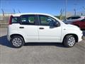 FIAT PANDA 1.2 Pop OTTIME CONDIZIONI, PREZZO REALE!!