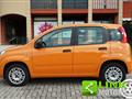 FIAT PANDA 1.2 Easy Power 69CV 2020 - 62.000KM - NEOPATENTATI