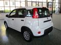 FIAT PANDA 1.0 FireFly S&S Hybrid - BLUETOOTH