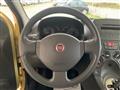 FIAT PANDA 1.2 Dualogic AUTOMATICA NEOPATENTATI