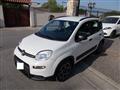 FIAT PANDA Fiat Panda 1.0 FireFly S&S Hybrid City Cross