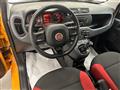 FIAT PANDA 3ª serie -  1.2 Easy