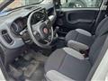 FIAT PANDA VAN 1.0 70cv S&S Hybrid Van 2 posti