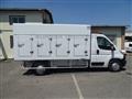 OPEL MOVANO 140CV CELLA A PIASTRE EUTETTICHE 7 SPORTELLI