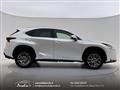 LEXUS NX Hybrid 4WD Executive Bianco perla-Navi-Sensori-ACC