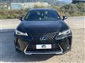 LEXUS UX Hybrid Luxury