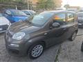 FIAT PANDA 1.0 FireFly S&S Hybrid Easy NO OBBLIGO DI FINANZ.!