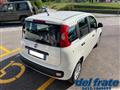 FIAT PANDA III 1.2 8v Easy NEOPATENTATI