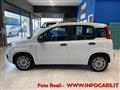 FIAT PANDA 1.0 FireFly S&S Hybrid NEOPATENTATI