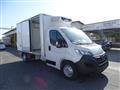 OPEL MOVANO CELLA ISOTERMICA -20° CON PARATIA MOBILE FRCX