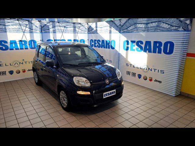 FIAT PANDA 1.0 firefly hybrid 70cv 5 posti