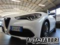 ALFA ROMEO Stelvio 2.2 T.diesel 190 CV AT8 Q4 Bus.