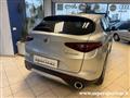 ALFA ROMEO STELVIO 2.2 Turbodiesel 190 CV AT8 Q4 Business