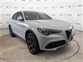 ALFA ROMEO STELVIO 2.2 Turbodiesel 210 CV AT8 Q4 Super