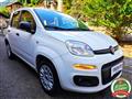 FIAT PANDA 1.2 EasyPower Easy UNICO PROPRIETARIO