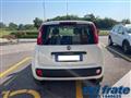 FIAT PANDA III 1.2 8v Easy NEOPATENTATI