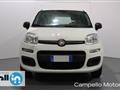 FIAT PANDA 1.2 69cv S&S Pop E6D-temp