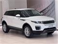 LAND ROVER RANGE ROVER EVOQUE Range Rover Evoque 2.0 TD4 150 CV 5p. Pure