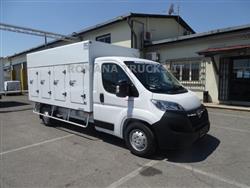 OPEL MOVANO 140CV CELLA A PIASTRE EUTETTICHE 7 SPORTELLI