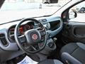 FIAT PANDA 1.0 FireFly S&S Hybrid Easy