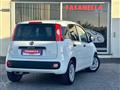 FIAT PANDA VAN 1.2 GPL Van 2 posti - IVA DEDUCIBILE - AZIENDALE