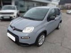 FIAT PANDA FIAT PANDA