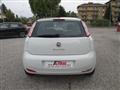 FIAT PUNTO 1.2 8v 5p. Lounge - OK NEOPATENTATI - "PRONTO USO"