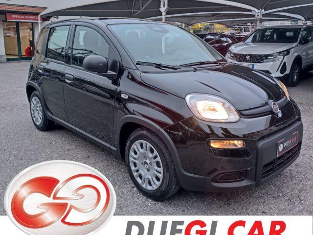 FIAT PANDA 1.0 FireFly S&S Hybrid Pandina