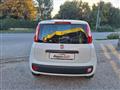 FIAT PANDA 1.2 Easy OK X NEOPATENTATI  N°FY852