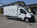 OPEL MOVANO 140CV CELLA A PIASTRE EUTETTICHE 7 SPORTELLI