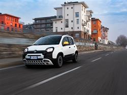 FIAT PANDA 1.0 FireFly GPL Hybrid Pandina