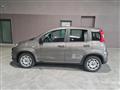 FIAT PANDA Hybrid 1.0 70cv