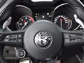 ALFA ROMEO STELVIO 2.2 Turbodiesel 210 CV AT8 Q4 Veloce