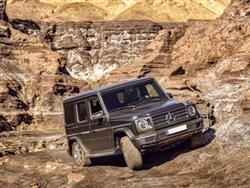 MERCEDES CLASSE G d S.W. Premium Plus