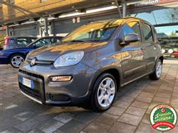 FIAT PANDA 1.0 firefly hybrid City Life