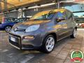 FIAT PANDA 1.0 firefly hybrid City Life