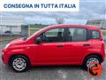 FIAT PANDA 1.0 FIREFLY HYBRID CITY LIFE X NEOPATENTATI-