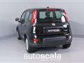 FIAT PANDA 1.0 FireFly S&S Hybrid (rottamazione euro 4)