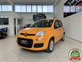 FIAT PANDA 1.2 Pop *NEOPATENTATI*