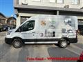 FORD TRANSIT 290 2.0TDCi EcoBlue PM-TA Furgone Entry