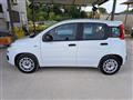 FIAT Panda 1.0 firefly hybrid s&s 70cv 5p.ti