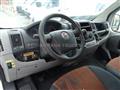 FIAT DUCATO CELLA FRIGO 0-4°  SOLO RIVENDITORI MINI PASSAGGIO