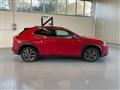 LEXUS UX 2.0 HYBRID 152CV 4WD F SPORT *ALLUVIONATA*