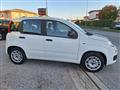 FIAT PANDA 1.2 Easy OK X NEOPATENTATI  N°FY852