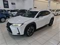 LEXUS UX Hybrid Luxury