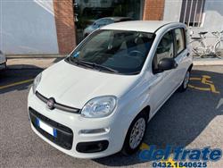 FIAT PANDA III 1.2 8v Easy NEOPATENTATI