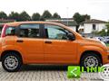 FIAT PANDA 1.2 Easy Power 69CV 2020 - 62.000KM - NEOPATENTATI