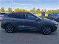 FORD KUGA 1.5 EcoBlue 120 CV 2WD ST-Line