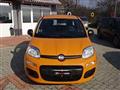 FIAT PANDA CROSS 1.2 Lounge ADATTA X NEOPATENTATI