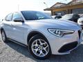 ALFA ROMEO Stelvio 2.2 T.diesel 190CV AT8 RWD Bus.